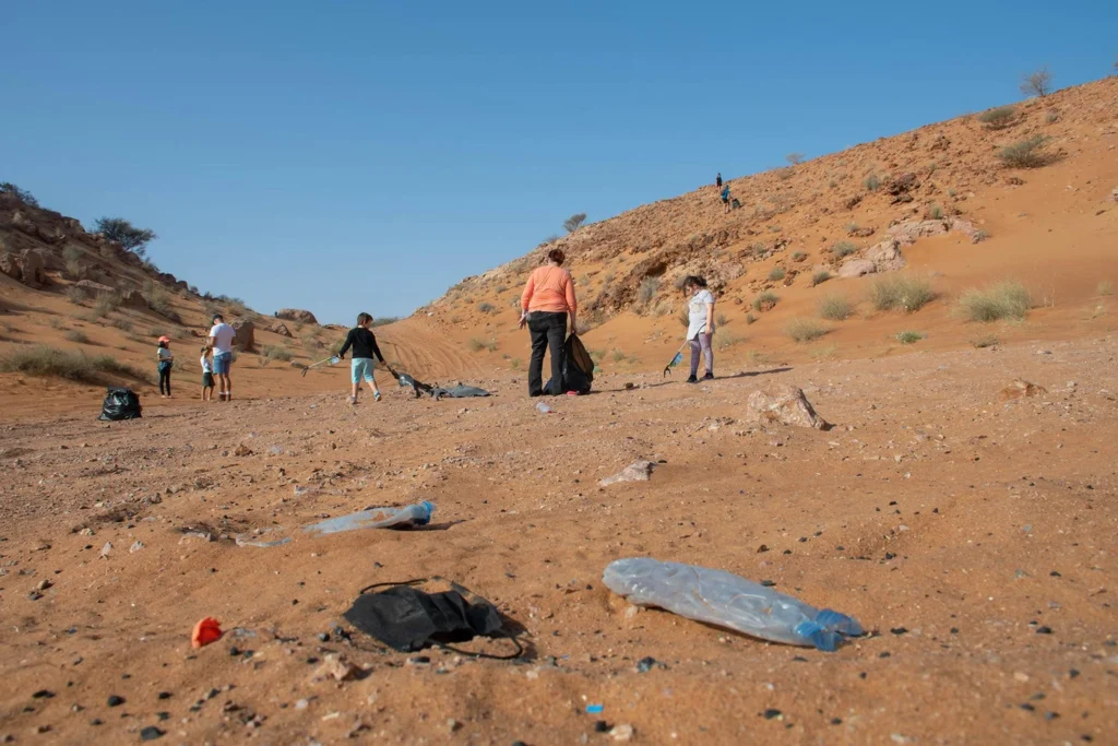 Desert Cleanup Image